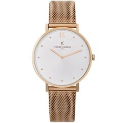 Женские часы Pierre Cardin BELLEVILLE Simplicity CBV.1013 цена и информация | Женские часы | 220.lv