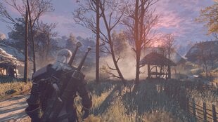 Игра The Witcher 3: Wild Hunt, PS4 цена и информация | Компьютерные игры | 220.lv