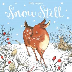 Snow Still цена и информация | Книги для малышей | 220.lv