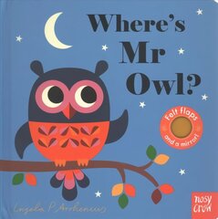 Where's Mr Owl? цена и информация | Книги для самых маленьких | 220.lv