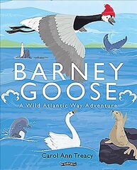 Barney Goose: A Wild Atlantic Way Adventure цена и информация | Книги для малышей | 220.lv