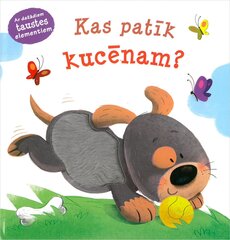 Kas patīk kucēnam? Ar dažādiem taustes elementiem цена и информация | Книги для детей | 220.lv