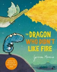 Dragon Who Didn't Like Fire цена и информация | Книги для малышей | 220.lv