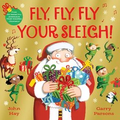 Fly, Fly, Fly Your Sleigh: A Christmas Caper! цена и информация | Книги для самых маленьких | 220.lv