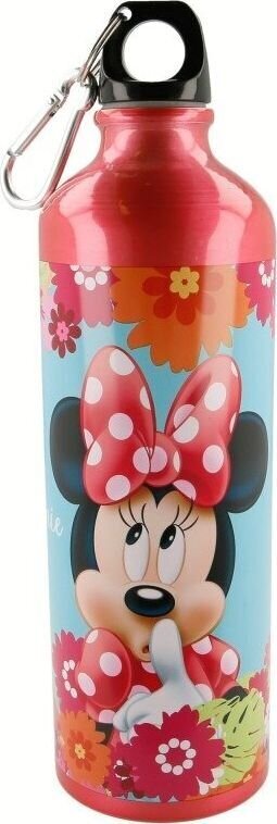 Disney pudele, 750ml cena un informācija | Ūdens pudeles | 220.lv