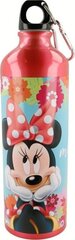 Disney pudele, 750ml cena un informācija | Ūdens pudeles | 220.lv