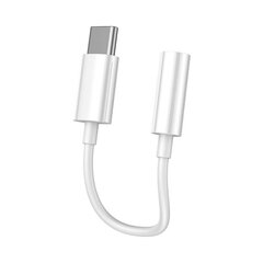 Vipfan L08 USB-C to mini jack 3.5 мм AUX cable, 10cм (white) цена и информация | Кабели для телефонов | 220.lv