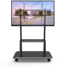 Techly ICA-TR31 55-120” цена и информация | Кронштейны и крепления для телевизоров | 220.lv