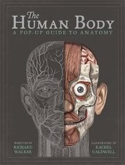 The Human Body: A Pop-Up Guide to Anatomy cena un informācija | Grāmatas mazuļiem | 220.lv