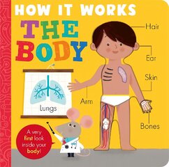 How it Works: The Body: HIW: Body cena un informācija | Grāmatas mazuļiem | 220.lv