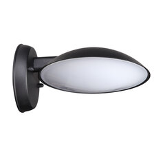 Настенный уличный светильник Italux Piombino 6691/BK-9 цена и информация | Уличное освещение | 220.lv