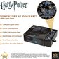 Puzle Harry Potter Dementors at Hogwarts, 1000 d. cena un informācija | Puzles, 3D puzles | 220.lv