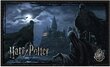 Puzle Harry Potter Dementors at Hogwarts, 1000 d. цена и информация | Puzles, 3D puzles | 220.lv
