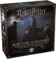 Puzle Harry Potter Dementors at Hogwarts, 1000 d. цена и информация | Puzles, 3D puzles | 220.lv