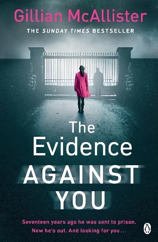 Evidence Against You: The gripping bestseller from the author of Richard & Judy pick That Night cena un informācija | Fantāzija, fantastikas grāmatas | 220.lv