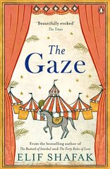 Gaze цена и информация | Фантастика, фэнтези | 220.lv