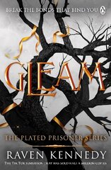 Gleam: The TikTok fantasy sensation that's sold over half a million copies cena un informācija | Fantāzija, fantastikas grāmatas | 220.lv