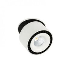 Iebūvējama akcenta gaismeklis Italux Sevilla SL7560/28W cena un informācija | Iebūvējamās lampas, LED paneļi | 220.lv