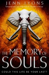 Memory of Souls цена и информация | Фантастика, фэнтези | 220.lv