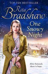 One Snowy Night цена и информация | Фантастика, фэнтези | 220.lv