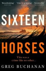 Sixteen Horses cena un informācija | Fantāzija, fantastikas grāmatas | 220.lv