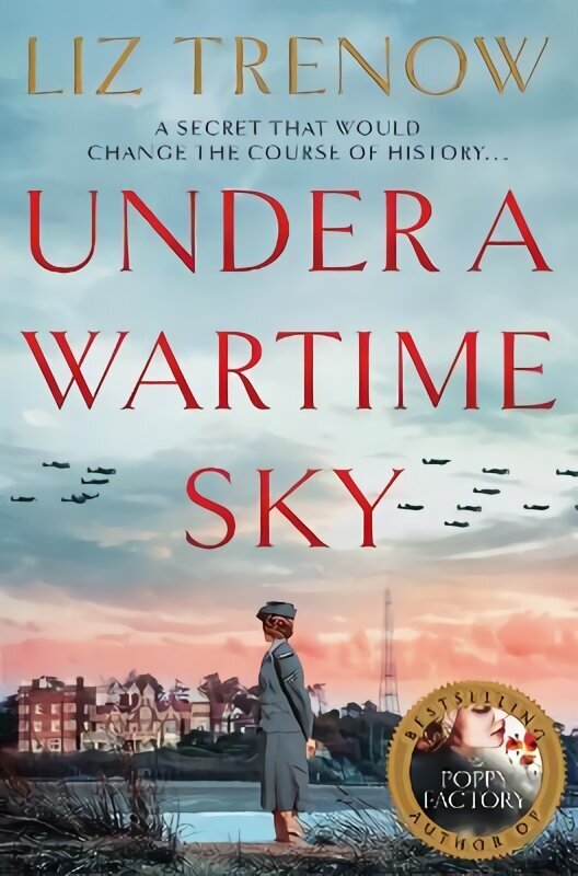 Under a Wartime Sky cena un informācija | Fantāzija, fantastikas grāmatas | 220.lv