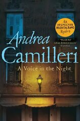 Voice in the Night cena un informācija | Fantāzija, fantastikas grāmatas | 220.lv