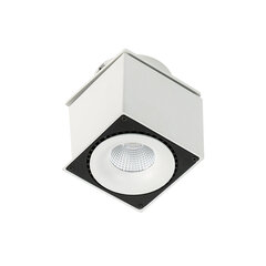 Встраиваемый акцентный светильник Italux Sevilla SL7562/28W цена и информация | Монтируемые светильники, светодиодные панели | 220.lv