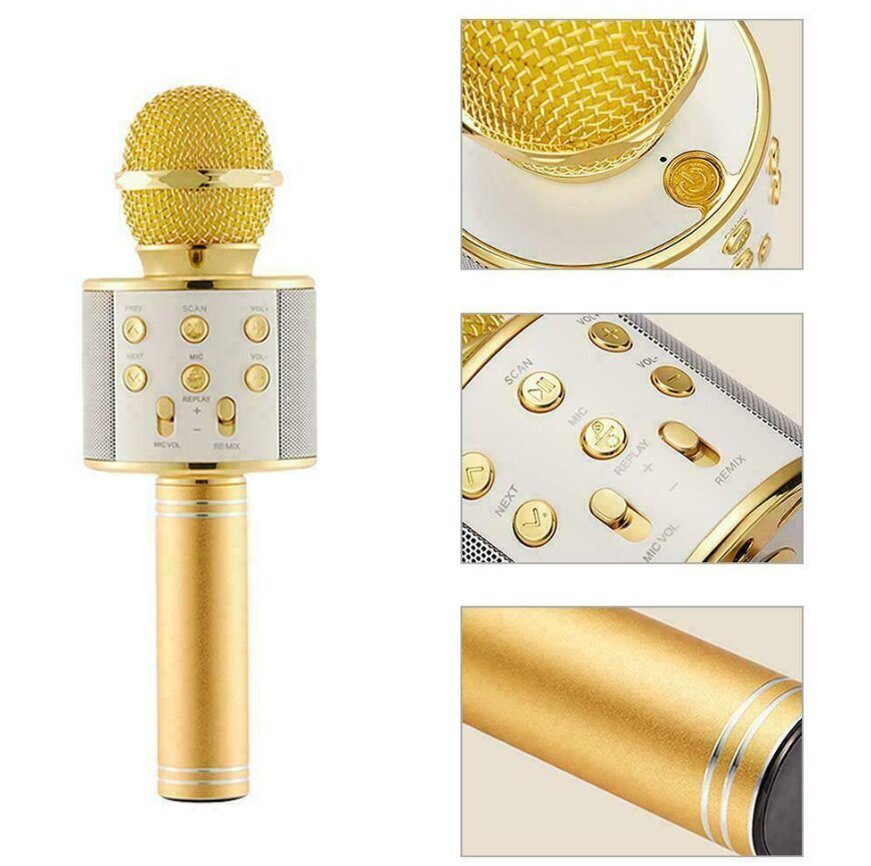 WS-858 bezvadu karaoke mikrofons - Bluetooth rokas skaļrunis, zelta цена и информация | Mikrofoni | 220.lv