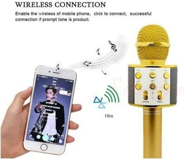 WS-858 bezvadu karaoke mikrofons - Bluetooth rokas skaļrunis, zelta цена и информация | Mikrofoni | 220.lv