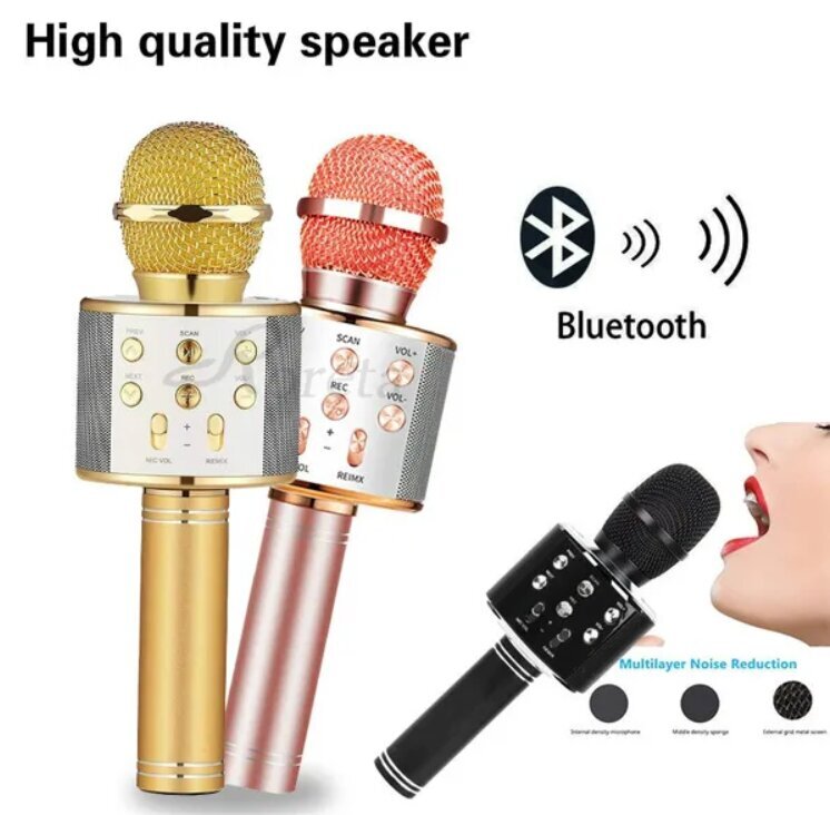 WS-858 bezvadu karaoke mikrofons - Bluetooth rokas skaļrunis, zelta цена и информация | Mikrofoni | 220.lv