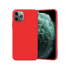 Силиконовый чехол для iPhone X/Xs (5,8″) — Красный цена и информация | Чехлы для телефонов | 220.lv