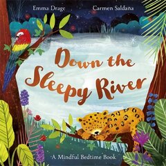 Down the Sleepy River: A Mindful Bedtime Book цена и информация | Книги для самых маленьких | 220.lv