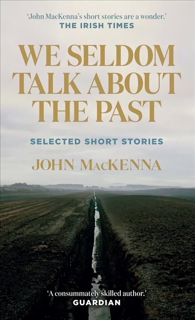 We Seldom Talk About the Past: Selected Short Stories cena un informācija | Fantāzija, fantastikas grāmatas | 220.lv