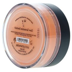 Минеральная пудра для лица BareMinerals Tinted Mineral Veil 41547627301, 9 г цена и информация | Пудры, базы под макияж | 220.lv