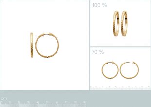 Серьги с золотым покрытием 750°, ⌀ 23 mm, произведено во Франции цена и информация | Серьги | 220.lv