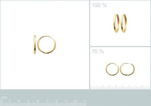 Серьги с золотым покрытием 750°, ⌀ 17 мм, произведено во Франции цена и информация | Серьги | 220.lv