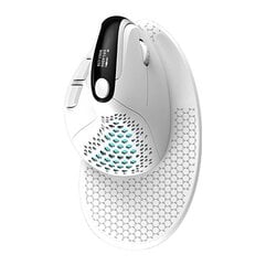 Wireless Ergonomic Mouse Delux M618XSD BT+2.4G RGB (white) цена и информация | Мыши | 220.lv