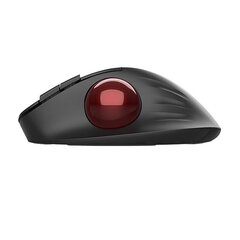 Wireless Ergonomic Mouse Delux MT1 DB BT+2.4G (black) цена и информация | Мыши | 220.lv