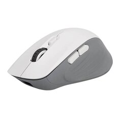 Wireless Gaming Mouse Delux M729DB BT+2.4G 16000DPI (white) цена и информация | Мыши | 220.lv