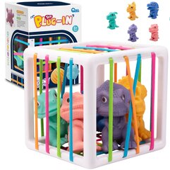 Woopie Elastīgs sensoro kubu šķirotājs bērniem Krāsainie dinozauri 6 gab. цена и информация | Развивающие игрушки | 220.lv