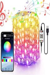 10m 100 LED Ziemassvētku gaismas āra lentes gaismas USB Bluetooth cena un informācija | Ziemassvētku lampiņas, LED virtenes | 220.lv