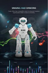 Радиоуправляемый индукционный робот Humanoid Sense цена и информация | Развивающие игрушки | 220.lv