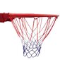 Stacionārs basketbola statīvs Bilaro Fremont 180x105cm цена и информация | Basketbola statīvi | 220.lv