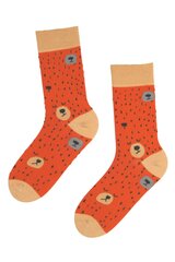 Мужские хлопковые носки оранжевого цвета с изображением умилительных спящих медвежьих мордочек KARDO цена и информация | Мужские носки | 220.lv