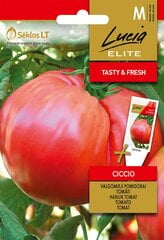 Tomāti ciccio sēklas цена и информация | Семена овощей, ягод | 220.lv