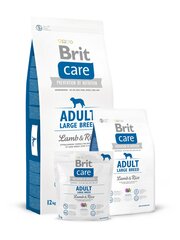 Brit Care Adult Large Lamb&Rice 12kg Suņiem cena un informācija | Sausā barība suņiem | 220.lv