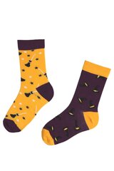 Детские хлопковые носки фиолетово-жёлтого цвета с изображением ведьмовской шляпы и метлы на Хэллоуин HOCUS POCUS цена и информация | Носки, колготки для девочек | 220.lv