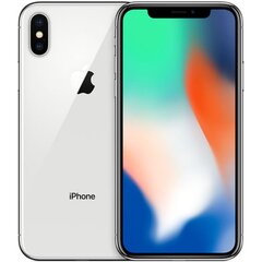 Apple iPhone X (Atjaunināts), 256GB, Sudrabains цена и информация | Мобильные телефоны | 220.lv