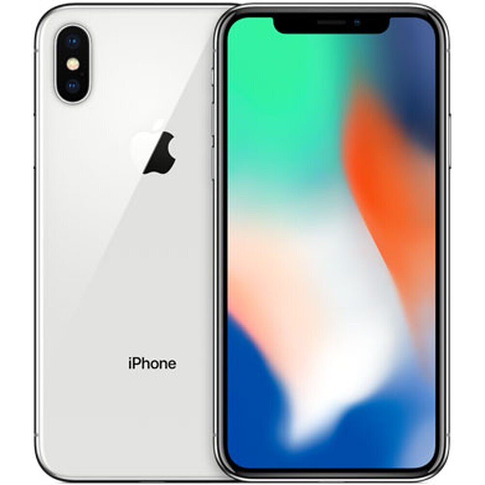 Apple iPhone X (Atjaunināts), 256GB, Sudrabains cena un informācija | Mobilie telefoni | 220.lv